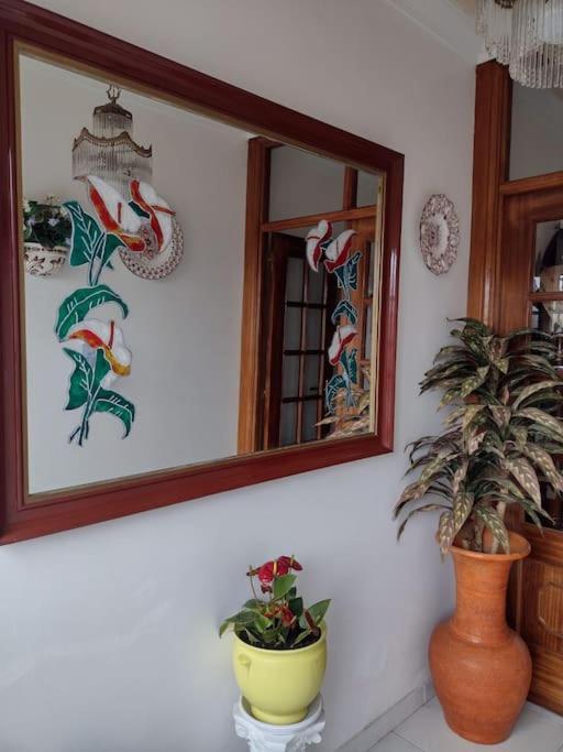 Precioso Apartamento En San Vicente De O Grove サン・ビセンテ・デ・オ・グローブ エクステリア 写真