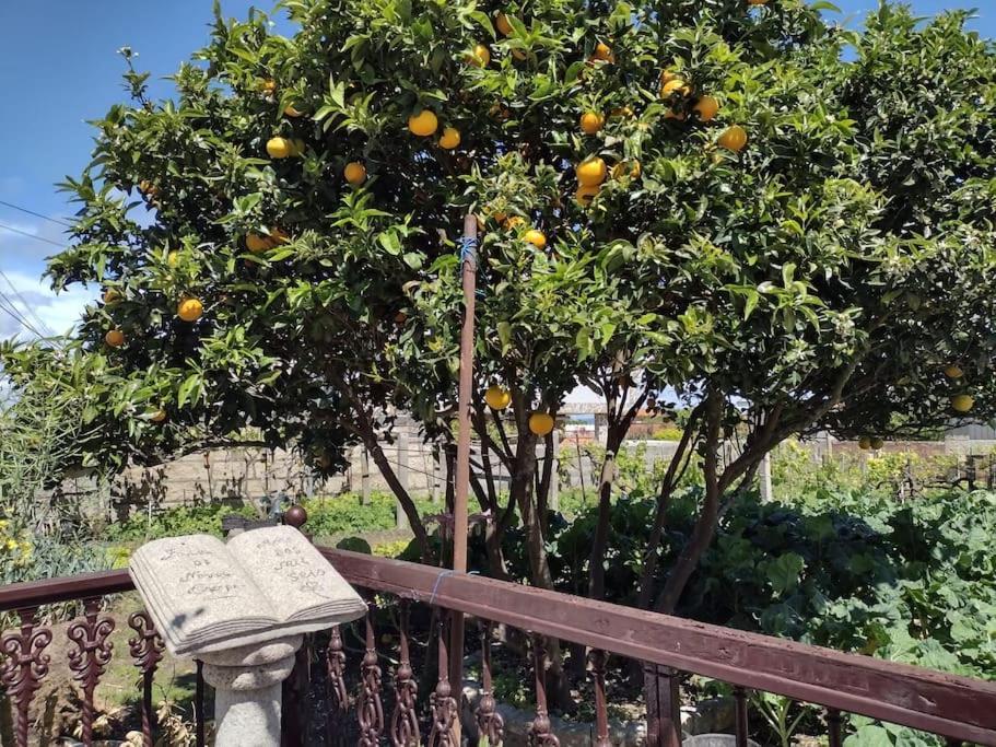 Precioso Apartamento En San Vicente De O Grove サン・ビセンテ・デ・オ・グローブ エクステリア 写真