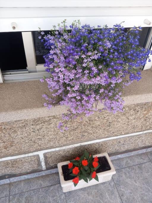 Precioso Apartamento En San Vicente De O Grove サン・ビセンテ・デ・オ・グローブ エクステリア 写真